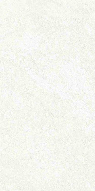 Dhara White Matte 12 x 24